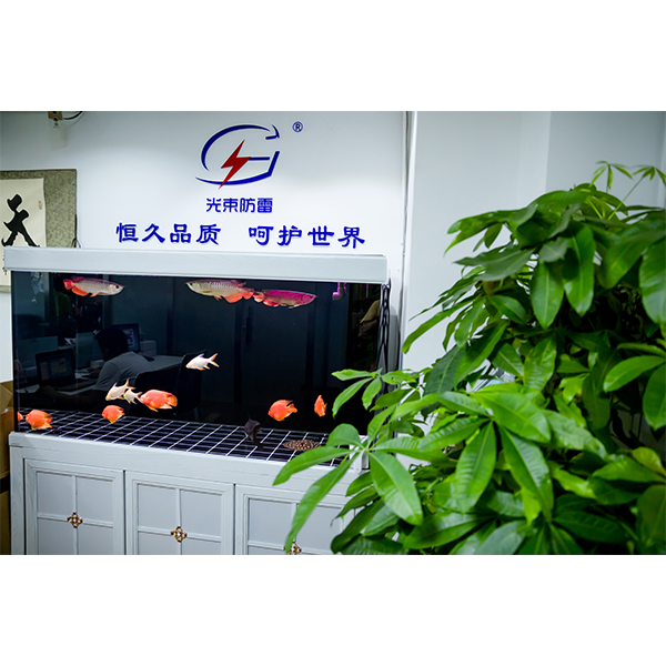 浪涌保護(hù) 器